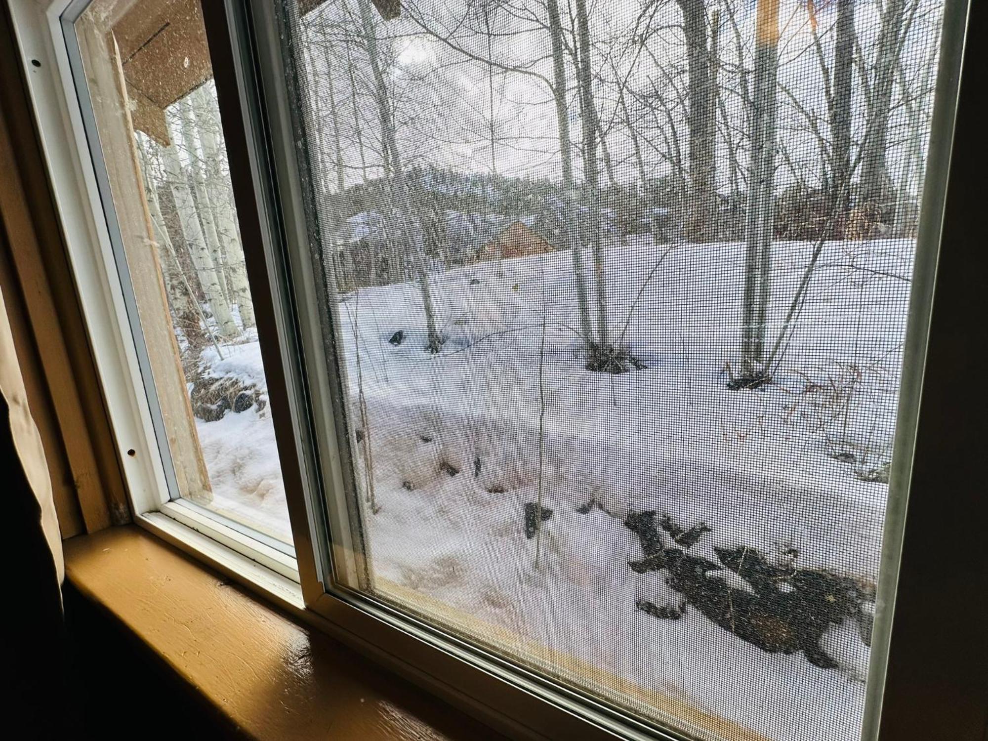 Ute Bluff Lodge, Cabins And Rv Park South Fork Buitenkant foto